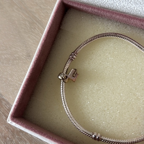 Pandora Charm Bracelet with Graduation Charm - Picture 4 of 4
